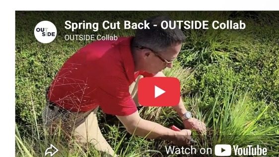 Spring Cut Back - OUTSIDE Collab YouTube thumbnail